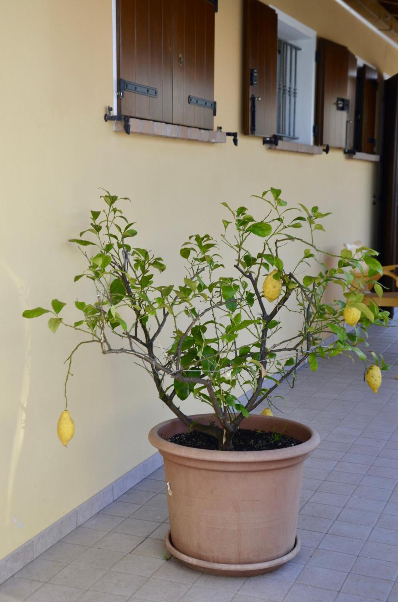 A Casa Di Amici Villa Vidor Exterior photo